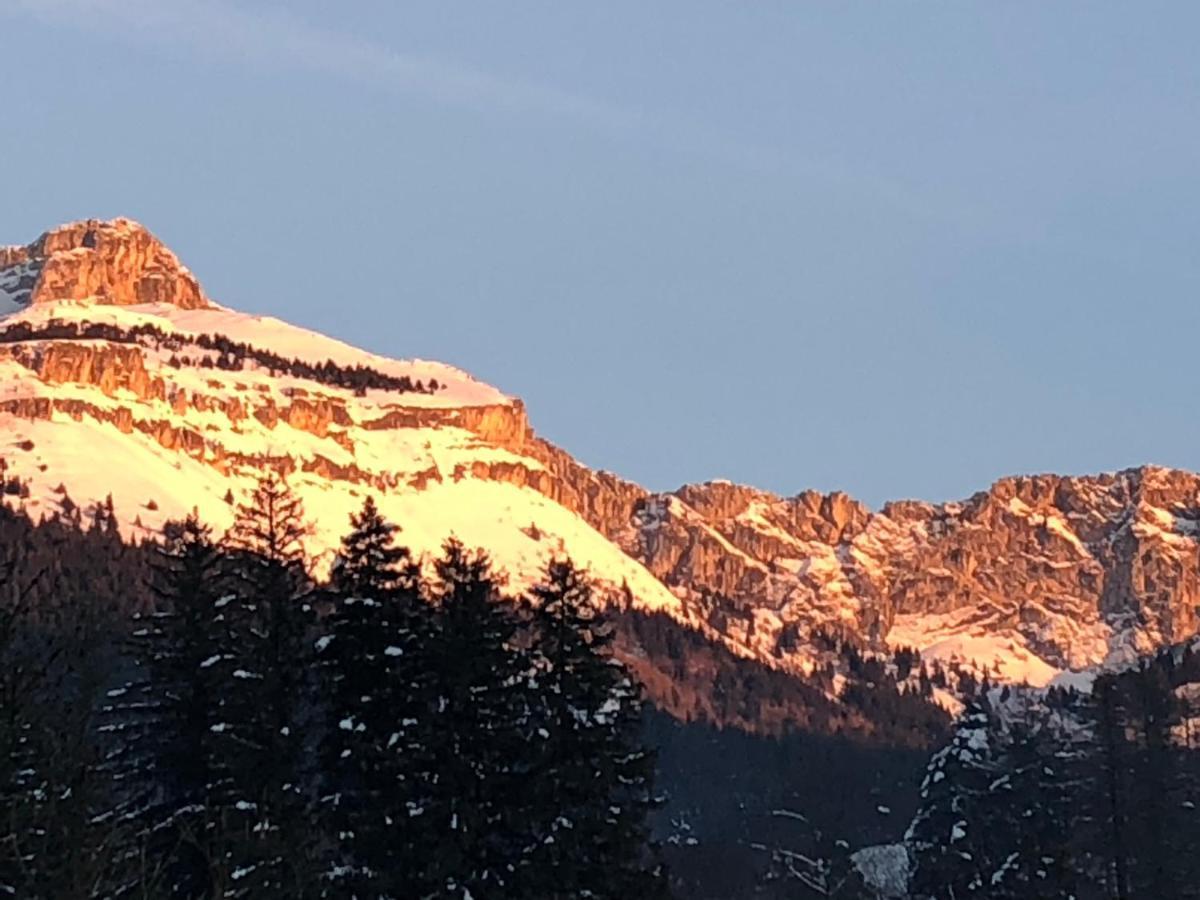 Cretes Du Vercors Vue Magnifique Віллар-де-Лан Екстер'єр фото