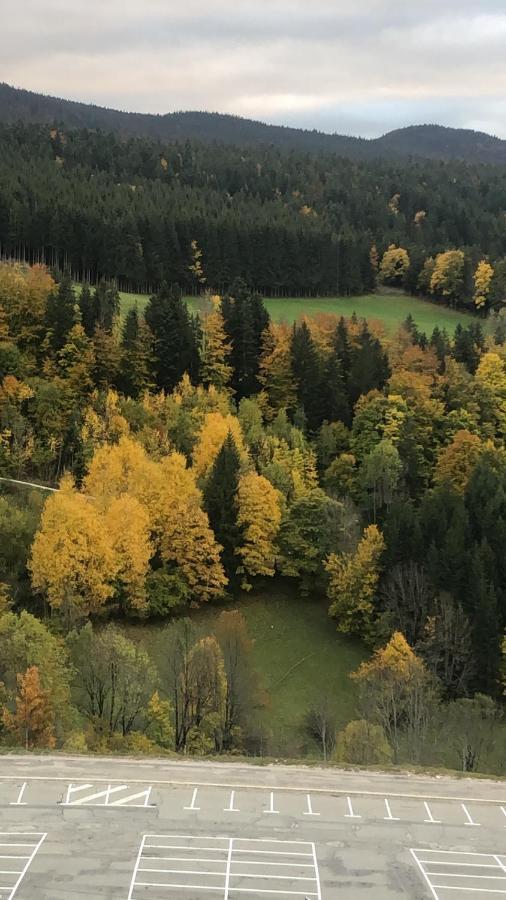 Cretes Du Vercors Vue Magnifique Віллар-де-Лан Екстер'єр фото